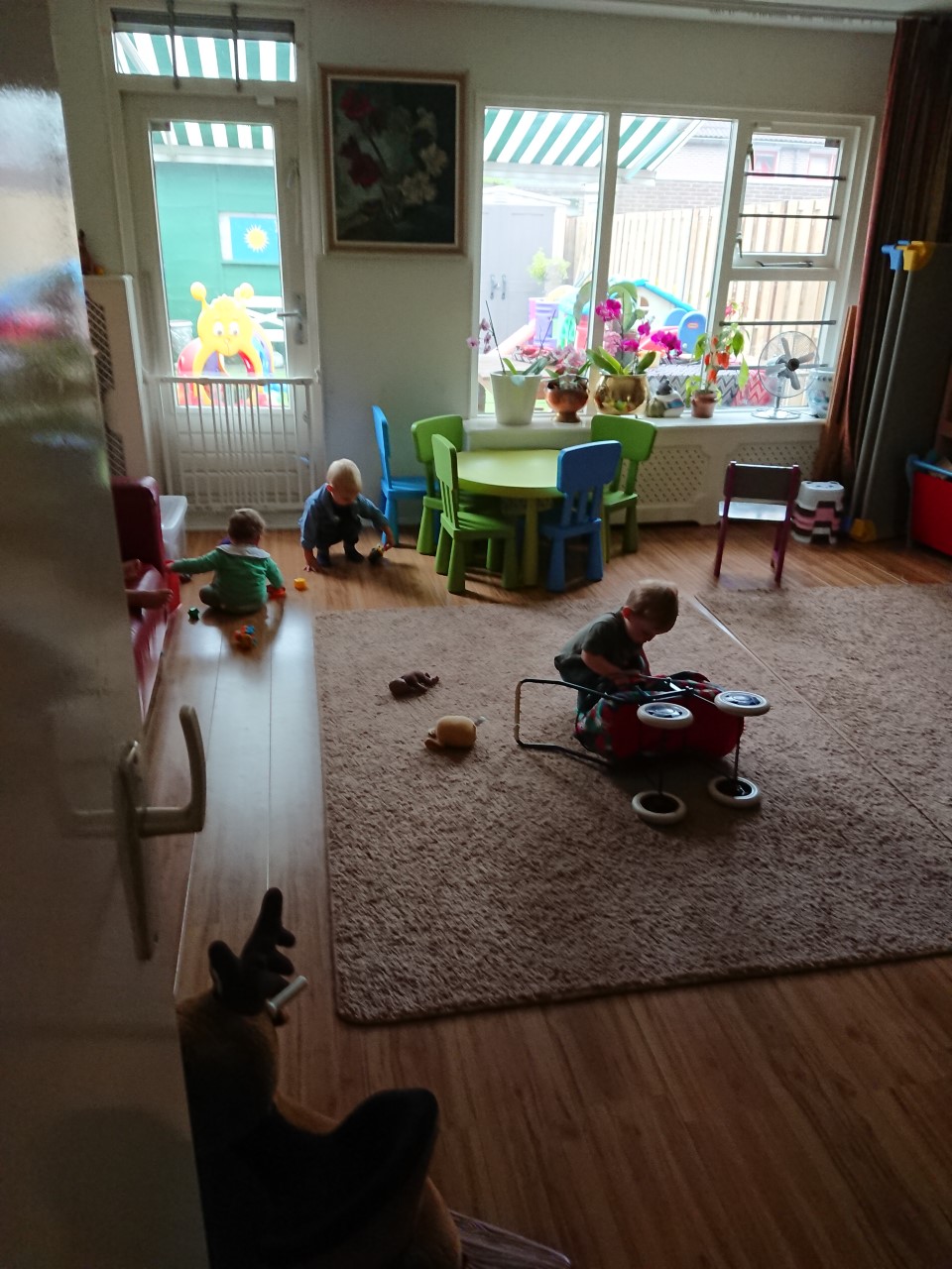 snapshot Rani's Speelhuis juni 2018