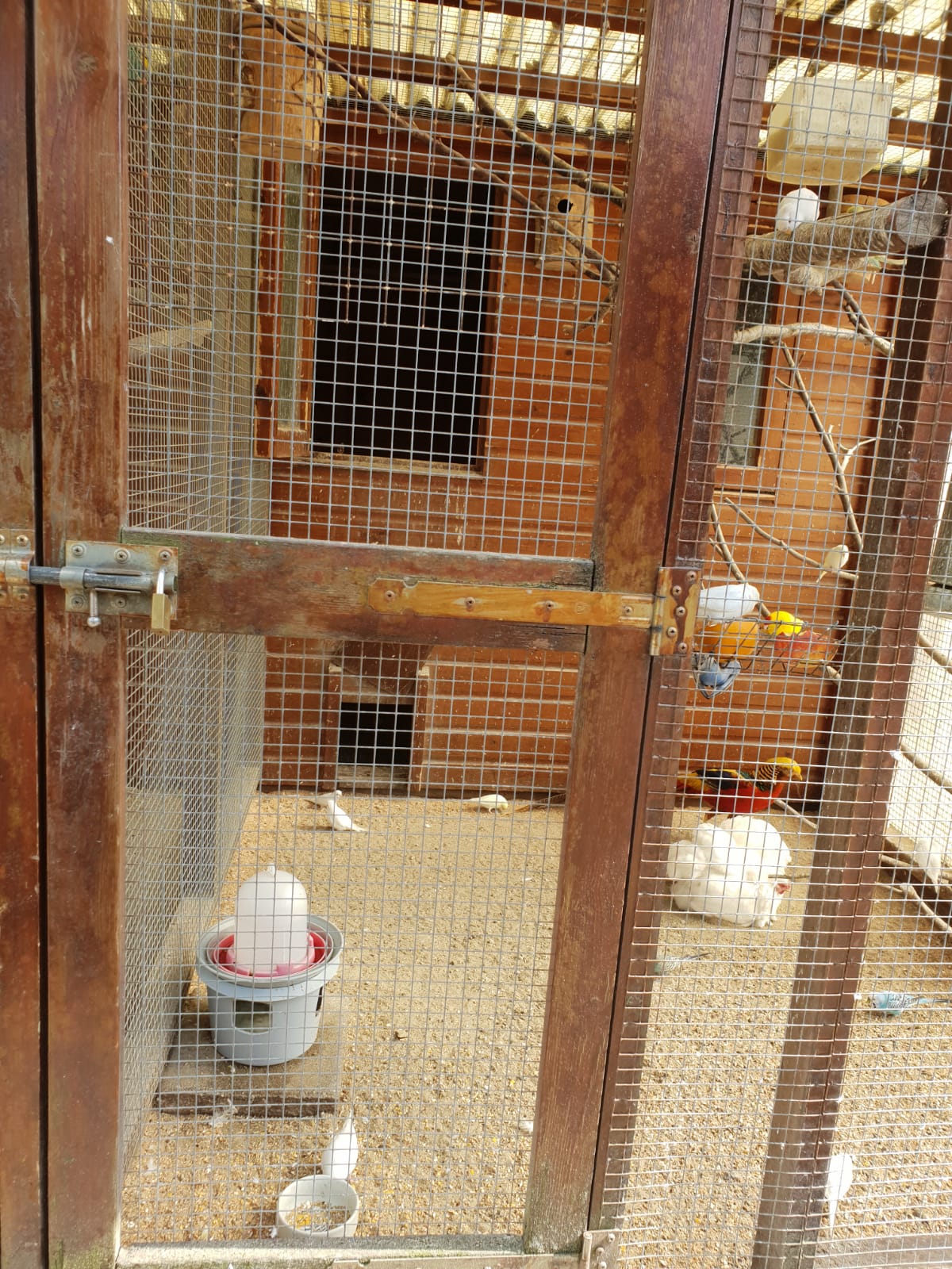 kinderboerderij mei 2019